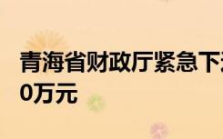青海省财政厅紧急下达抗震救灾补助资金5000万元
