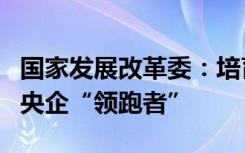 国家发展改革委：培育风电光伏设备循环利用央企“领跑者”