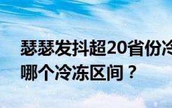 瑟瑟发抖超20省份冷如“钻冰箱”，你家在哪个冷冻区间？
