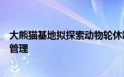 大熊猫基地拟探索动物轮休制：对部分大熊猫试行周一闭馆管理