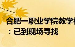 合肥一职业学院教学楼出现野猪？辖区派出所：已到现场寻找