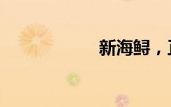 新海鲟，正式下水！