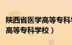 陕西省医学高等专科学校有哪些（陕西省医学高等专科学校）