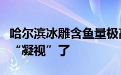 哈尔滨冰雕含鱼量极高，游客走着走着就被鱼“凝视”了