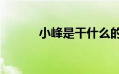 小峰是干什么的（小峰ひなた）