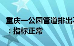 重庆一公园管道排出不明绿色液体，当地回应：指标正常