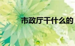 市政厅干什么的（市政厅好看吗）