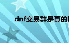 dnf交易群是真的吗（dnf交易骗术）