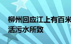 柳州回应江上有百米长不明漂浮物： 应为生活污水所致