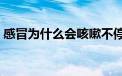感冒为什么会咳嗽不停（感冒为什么会咳嗽）
