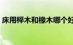 床用榉木和橡木哪个好（榉木和橡木哪个好）