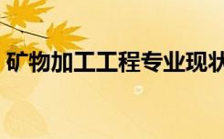 矿物加工工程专业现状（矿物加工工程专业）