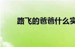 路飞的爸爸什么实力（路飞的爸爸）