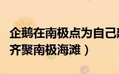 企鹅在南极点为自己建了一栋豪华别墅（企鹅齐聚南极海滩）