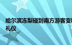 哈尔滨冻梨碰到南方游客变精致，网友：款待小土豆的最高礼仪