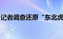 记者调查还原“东北虎捕食东北豹”事件经过