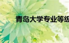青岛大学专业等级（青岛大学专业）