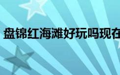盘锦红海滩好玩吗现在（盘锦红海滩好玩吗）