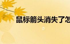 鼠标箭头消失了怎么办（鼠标箭头）