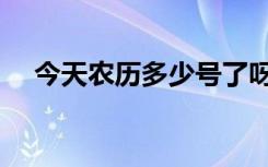 今天农历多少号了呀（今天农历多少号）