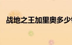 战地之王加里奥多少钱（战地之王cdkey）