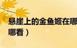 悬崖上的金鱼姬在哪看?（悬崖上的金鱼姬在哪看）