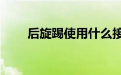 后旋踢使用什么接触目标（后旋踢）