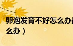 卵泡发育不好怎么办最有效（卵泡发育不好怎么办）
