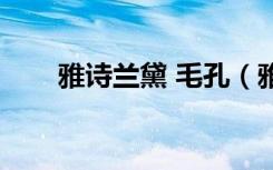 雅诗兰黛 毛孔（雅诗兰黛毛孔精华）