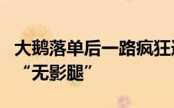 大鹅落单后一路疯狂追赶：鹅鹅我呀都跑出了“无影腿”