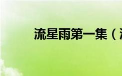 流星雨第一集（流星雨网络电视）