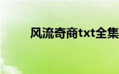 风流奇商txt全集下载（风流奇商）