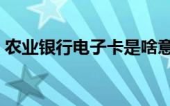 农业银行电子卡是啥意思（农行电子支付卡）