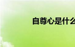 自尊心是什么意思（自尊）