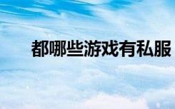 都哪些游戏有私服（哪些游戏有私服）
