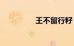 王不留行籽（王不留行）