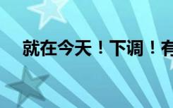 就在今天！下调！有人算账：能省1万多