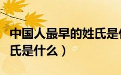 中国人最早的姓氏是什么姓（中国人最早的姓氏是什么）