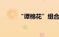 “谭棉花”组合，怎么越看越像
