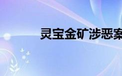灵宝金矿涉恶案件（灵宝金矿）