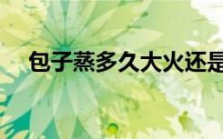 包子蒸多久大火还是小火（包子蒸多久）