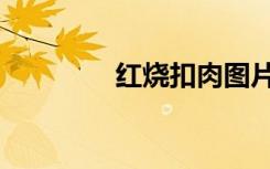红烧扣肉图片（红烧扣肉）