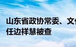 山东省政协常委、文化文史和学习委员会副主任边祥慧被查
