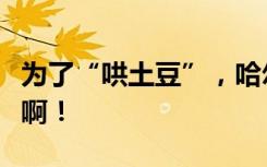 为了“哄土豆”，哈尔滨有好东西是真往外掏啊！