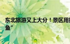 东北旅游又上大分！景区用挖掘机拉雪圈：这叫“旋转八爪鱼”