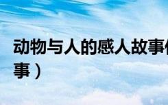 动物与人的感人故事作文（动物与人的感人故事）