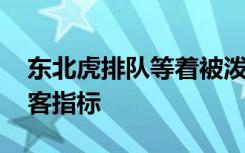 东北虎排队等着被泼雪 仿佛一夜之间有了接客指标