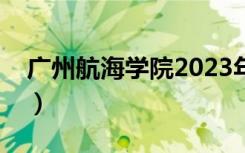 广州航海学院2023年录取分数线（广州航海）