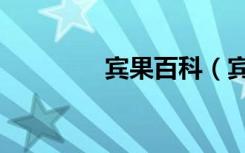宾果百科（宾果什么意思）