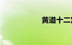 黄道十二宫（黄道）